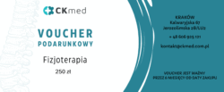 Wizyta Fizjoterapeutyczna 250